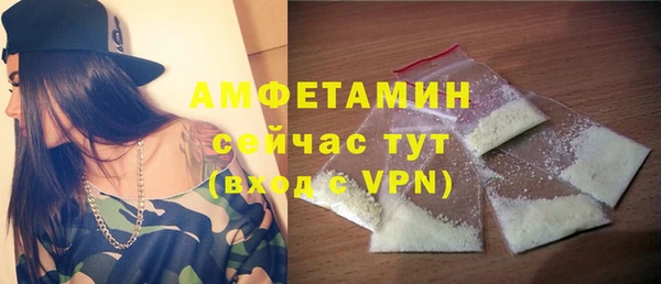 гидра Няндома