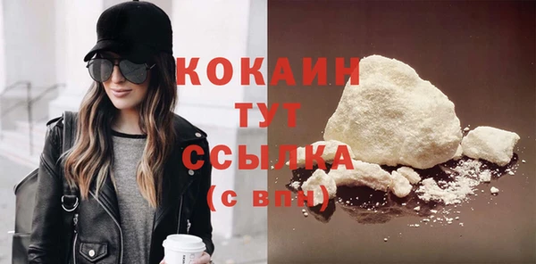 гидра Няндома