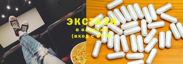 гидра Няндома