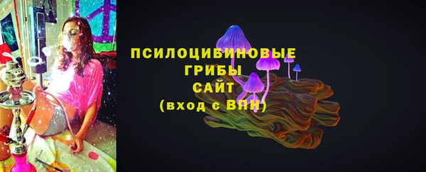 сатива Костерёво