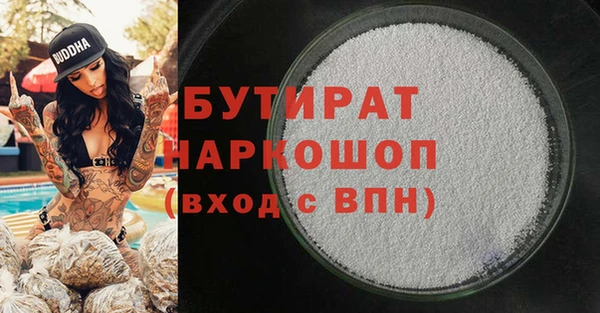 гидра Няндома