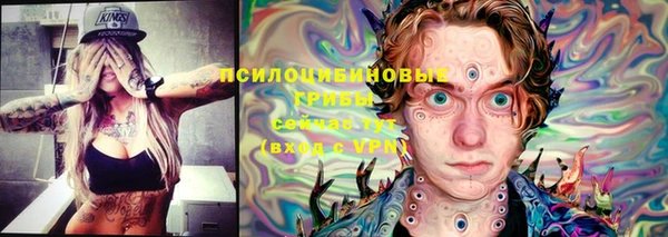 MDMA Premium VHQ Нязепетровск