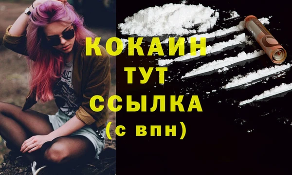 твердый Белая Холуница