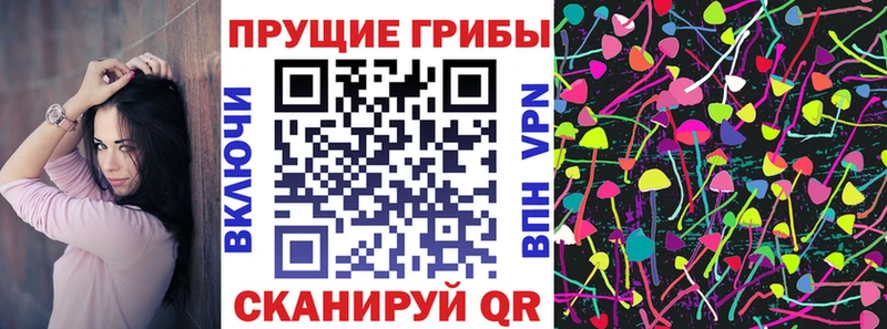 Псилоцибиновые грибы Psilocybine cubensis Короча